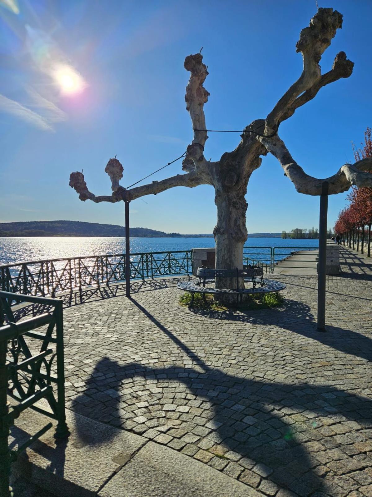 La Casetta Di Gianni Apartment